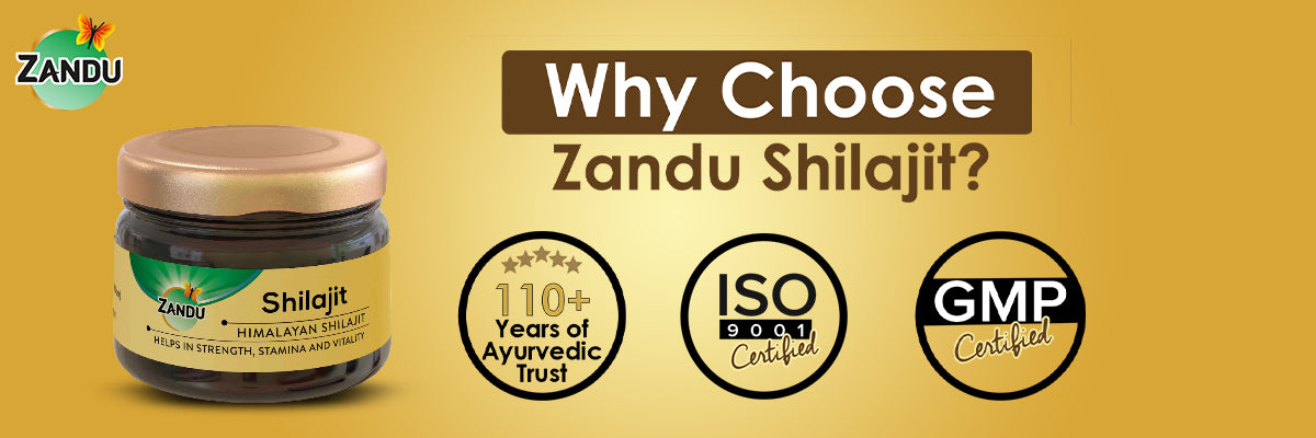 Why Choose Zandu Shilajit Resin