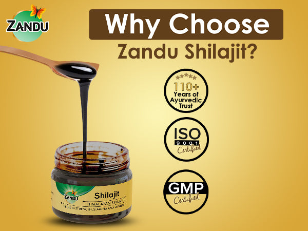 Why Choose Zandu Shilajit Resin