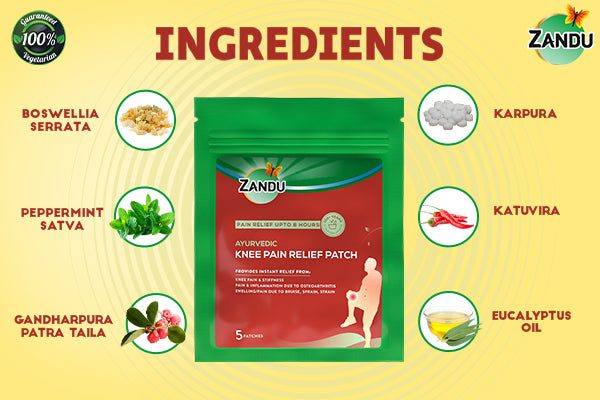 Zandu Knee Pain Relief Patch Ingredients