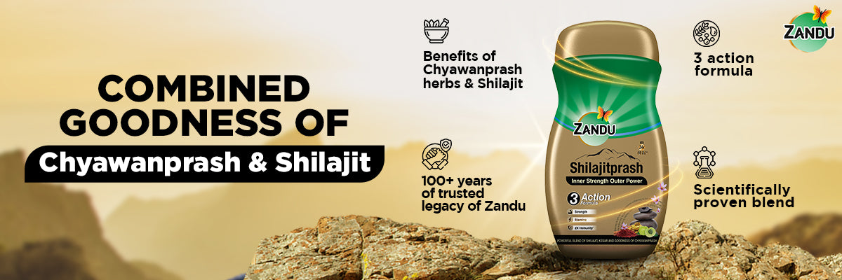 Shilajitprash benefits