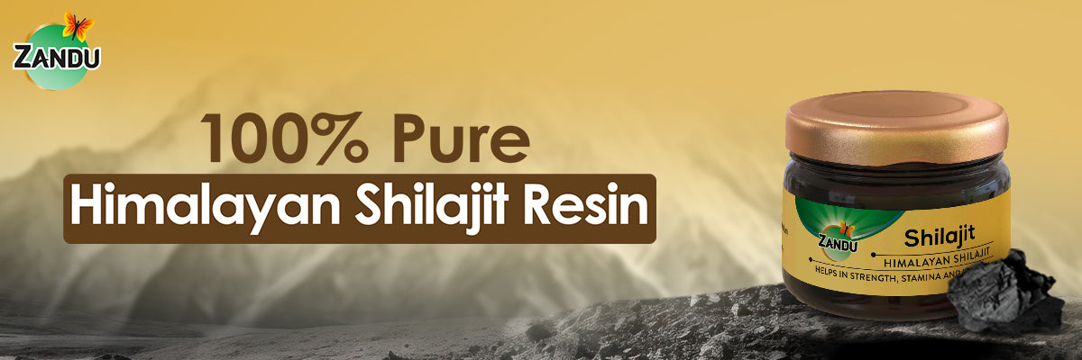 Zandu Pure Himalayan Shilajit Resin