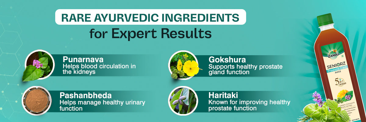 Zandu prostate care juice Ingredients