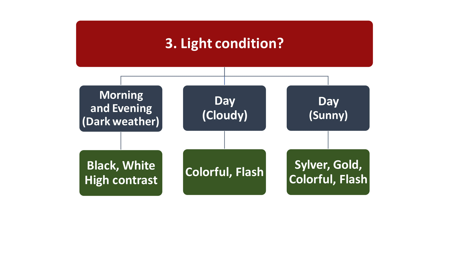 Fly fishing light condition graphic