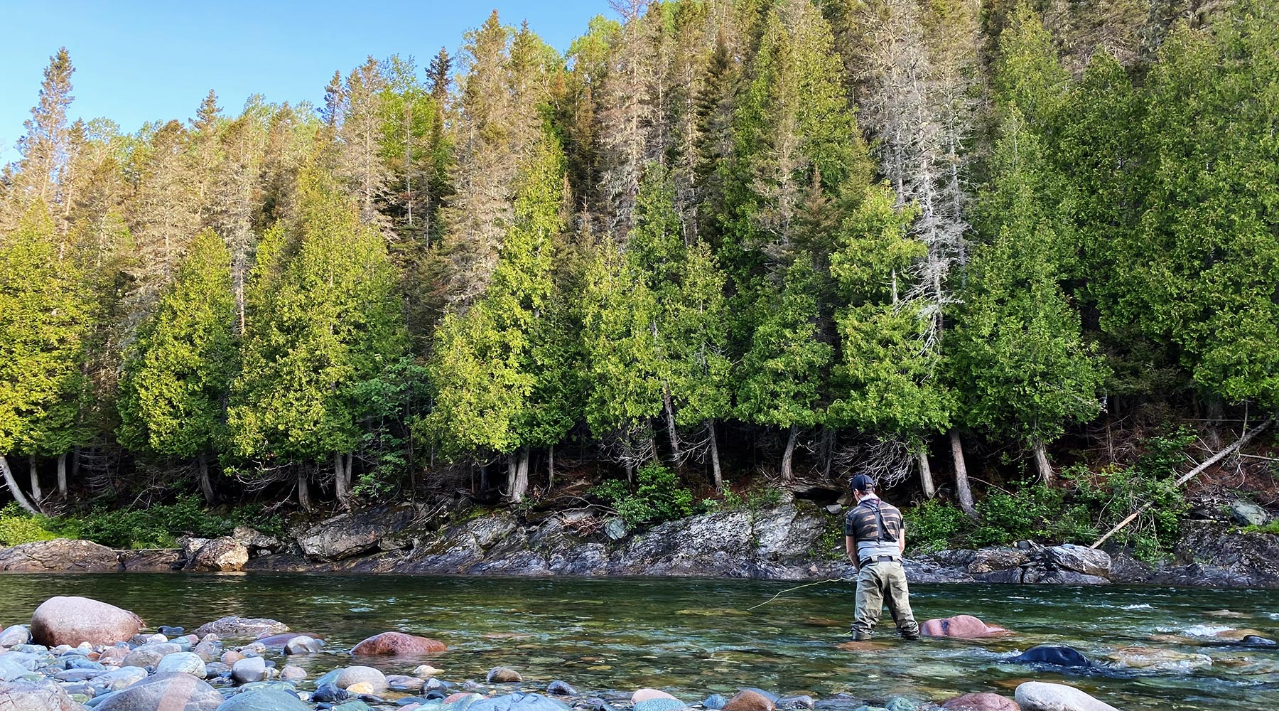 Fly fisher on the river