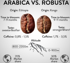 robusta coffee beans vs. arabica coffee beans