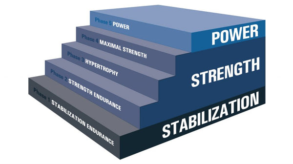 NASM - OPT Exercise Model