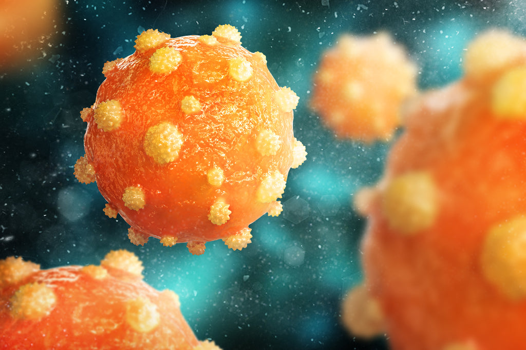 A close-up of the Hepatitis B virus.