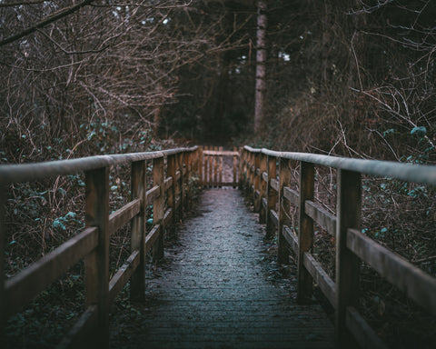 A spooky wooden bridge surrounded by trees. It might even be haunted.