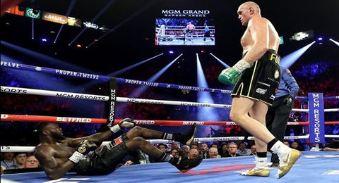 Tyson Fury demolishes Deontay Wilder in the second fight