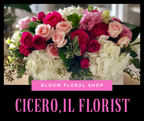 Cicero IL Florist Cicero, IL Flower Delivery