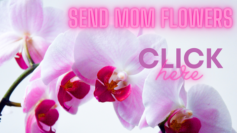 Chicago Florist - Mother's Day Flower Delivery by Bloom Floral Chicago