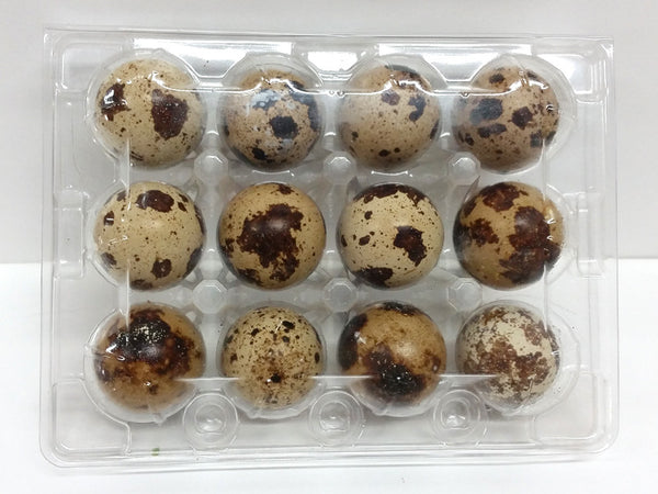 Quail egg incubator for sale