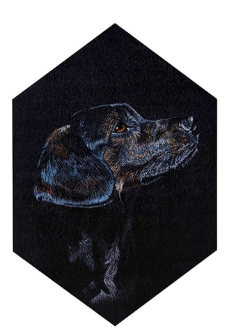 Pet Portrait Competition Winners - 2019 | Trekell Art Supply