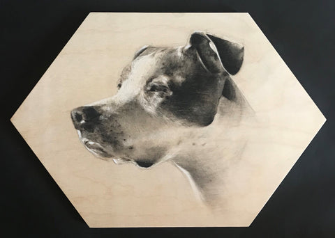 Pet Portrait Competition Winners - 2019 | Trekell Art Supply