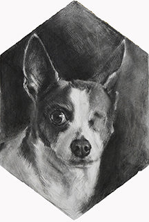 Pet Portrait Competition Winners - 2019 | Trekell Art Supply