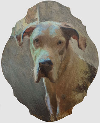 Pet Portrait Competition Winners - 2020 | Trekell Art Supply