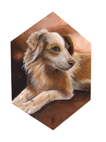 Pet Portrait Competition Winners - 2019 | Trekell Art Supply