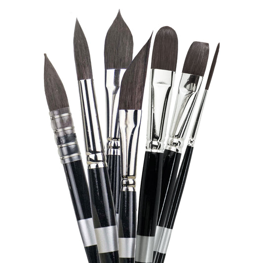 Pinturale Arts Professional Watercolor Brushes Black Series Set of 8 Travel Watercolor Brushes High Water Absorption and Cont