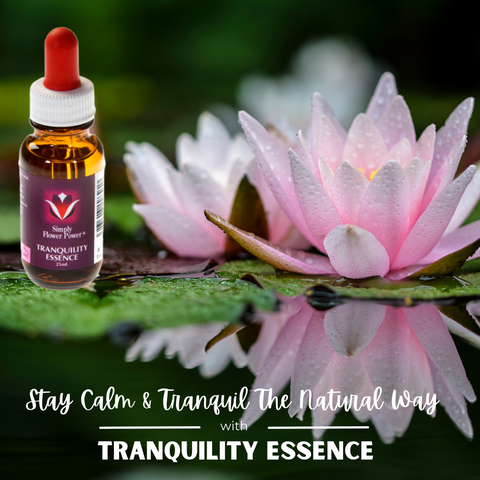 Tranquility Essence