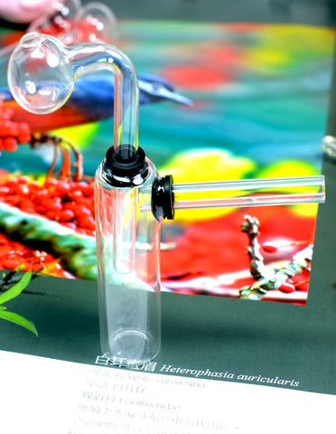 Glow In The Dark Glass Bongs Oil Burner Pipe Bubbler Smoking Water Pipe  Colorful Artist Mushroom Ice Catcher Dab Rig With 10mm Male Glass Oil  Burner Pipe From 4,16 €