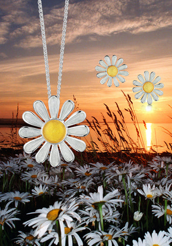 "Daisies for Emily" collection