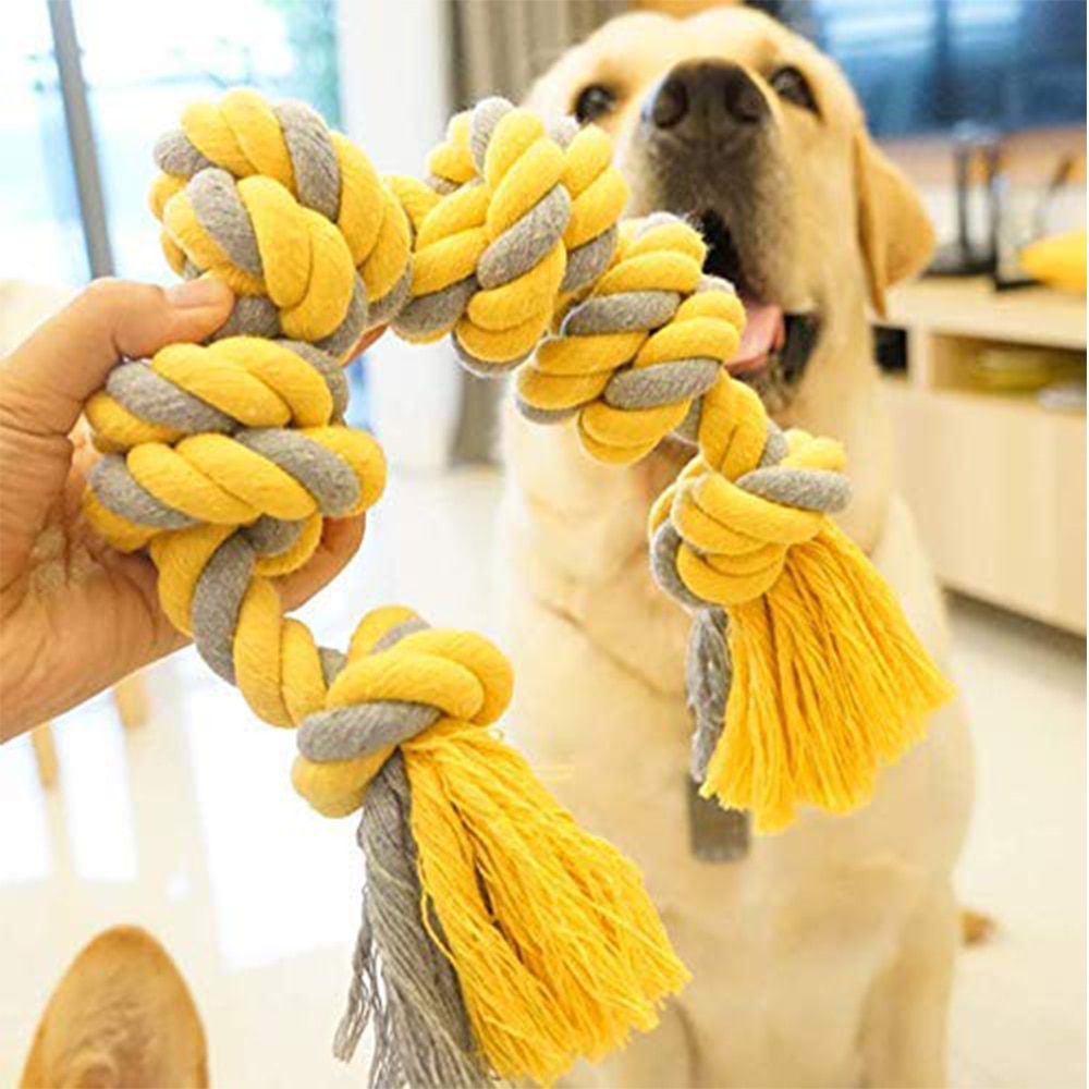 dog toy accessories