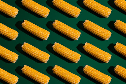 corn is rich in carbs