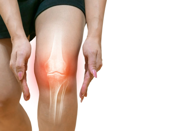Benefits of the Leg Extension