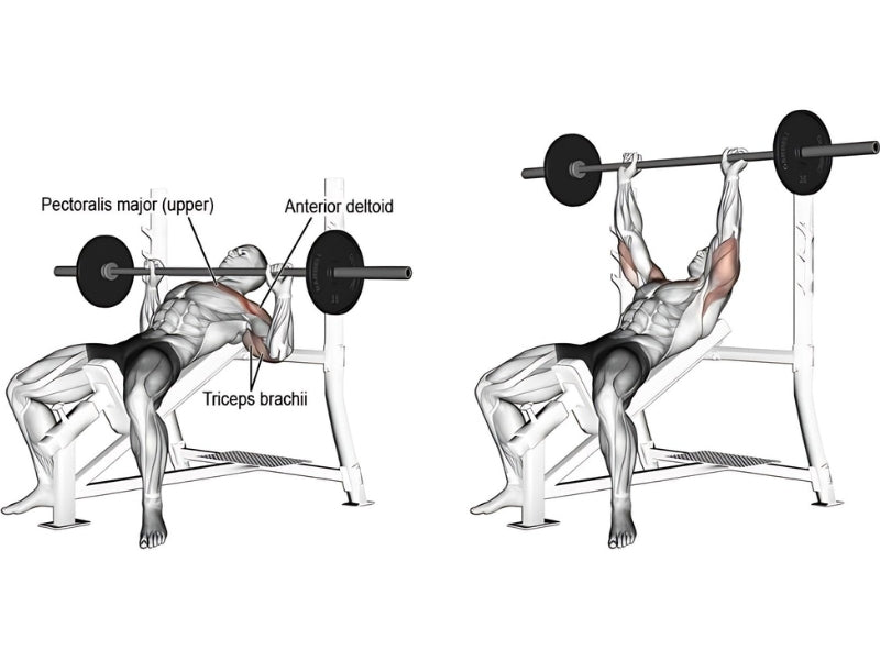 How to Do the Barbell Incline Bench Press: Step-by-Step