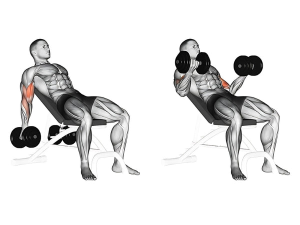 Incline Dumbbell Curls