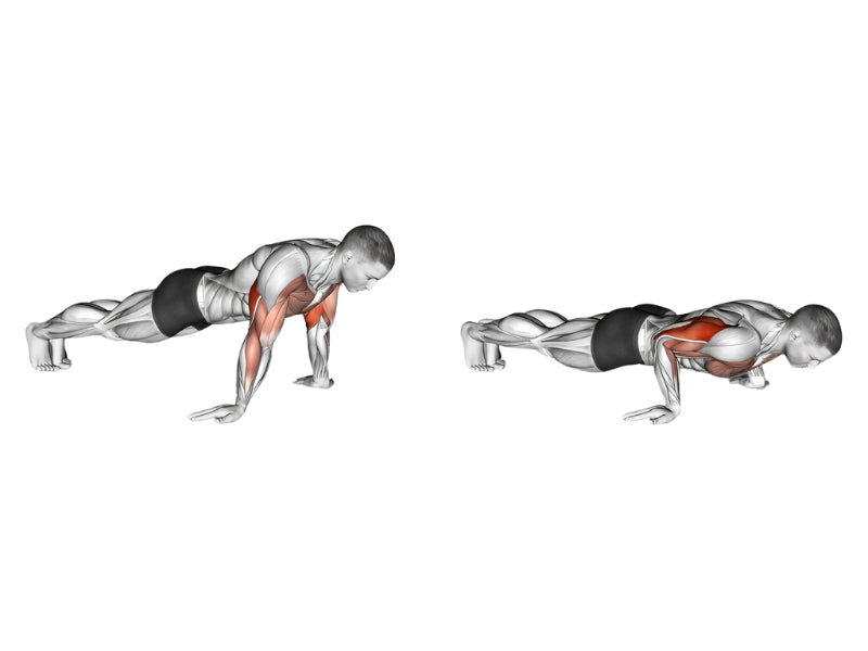 Reverse Hand Push-ups