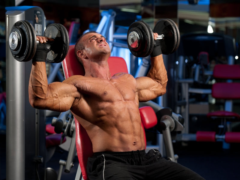 Seated Shoulder Press