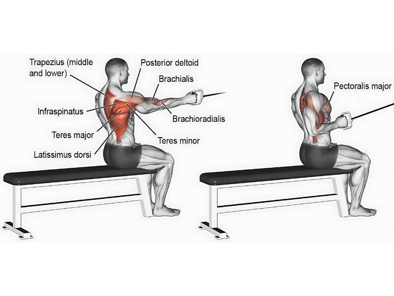 Single-Arm Cable Row