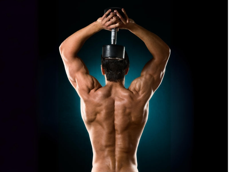 Overhead Dumbbell Triceps Extension