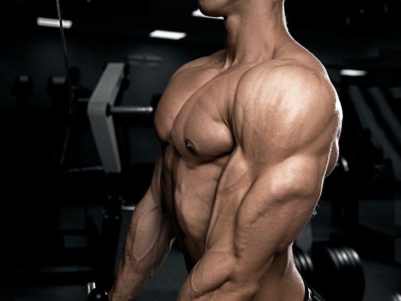 Triceps Dumbbell Exercises