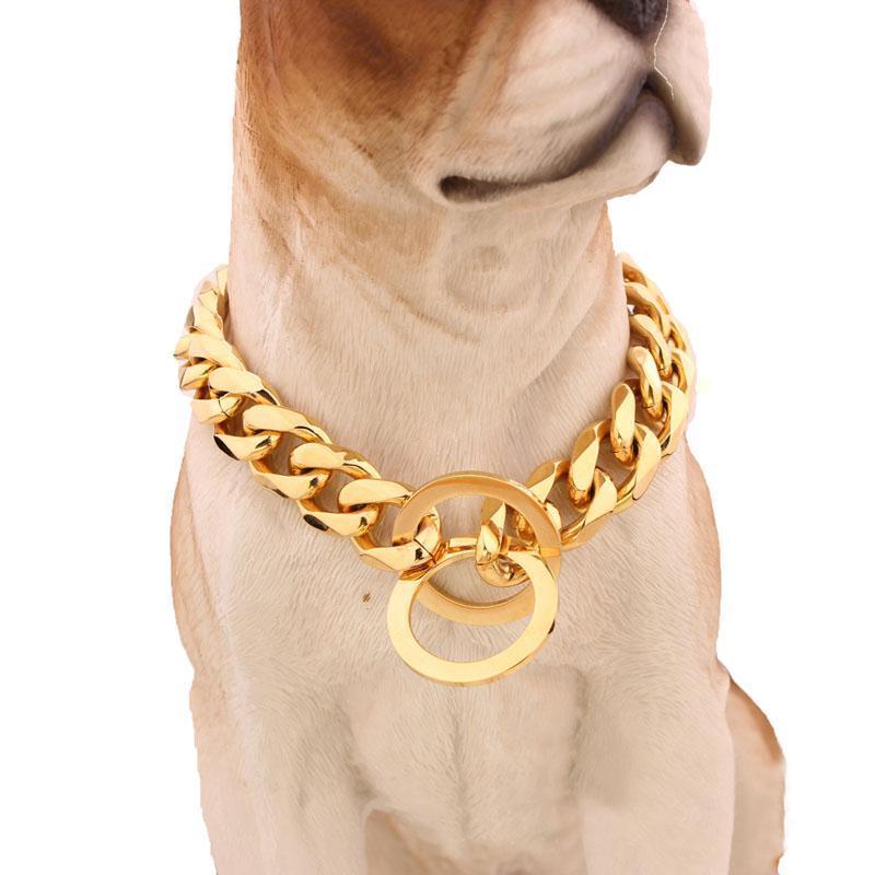 chains dog