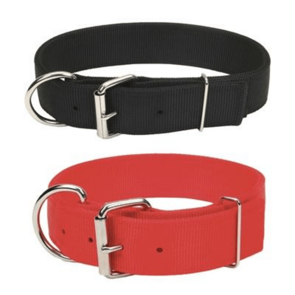 Macho Dog Double-Ply Dog Collar with Roller Buckle - Diogi's Place