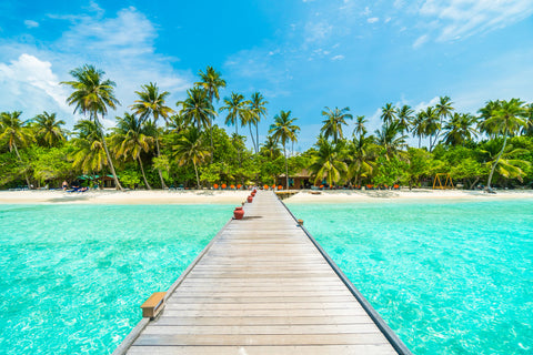 Tropical island with palm trees and blue water.