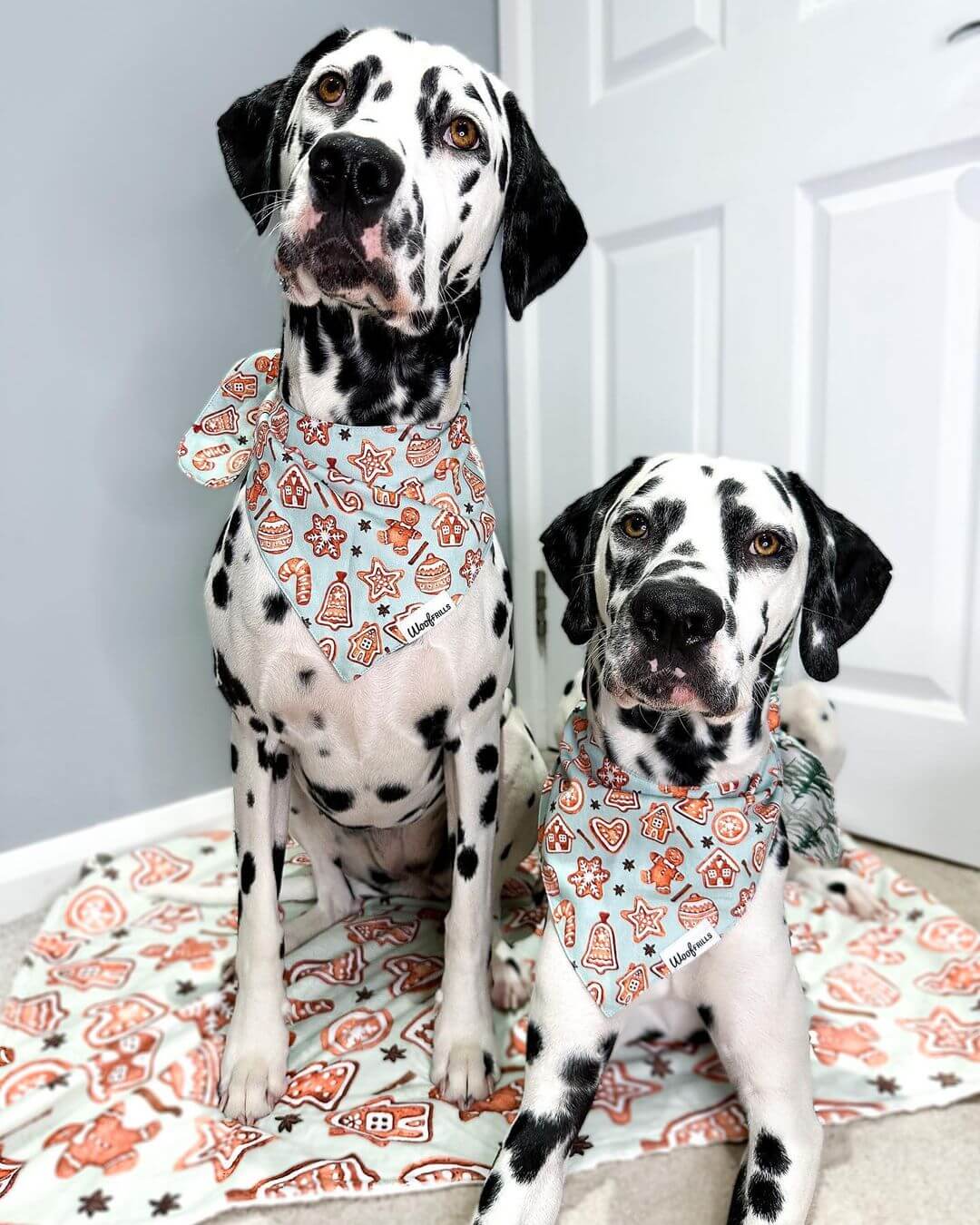 Wooffrills dog bandanas