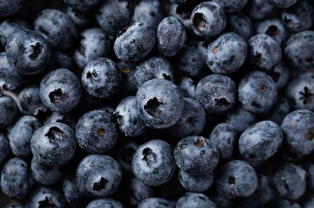 Close-up of a bunch of ripe blueberries, showing their plumpness and deep blue color