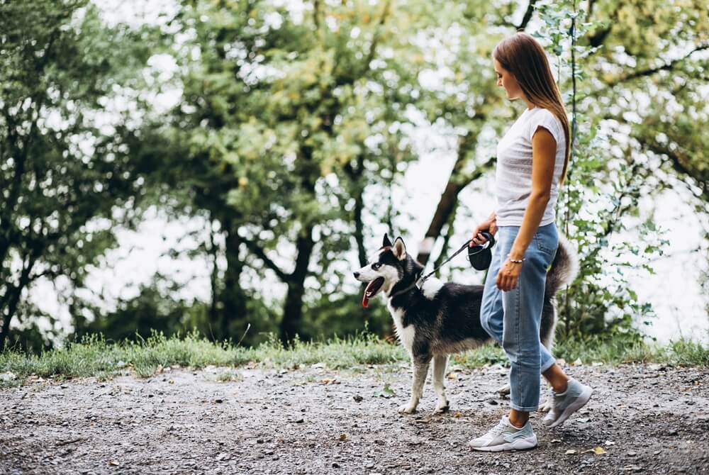 young lady walking with her dog and observe his body language closely