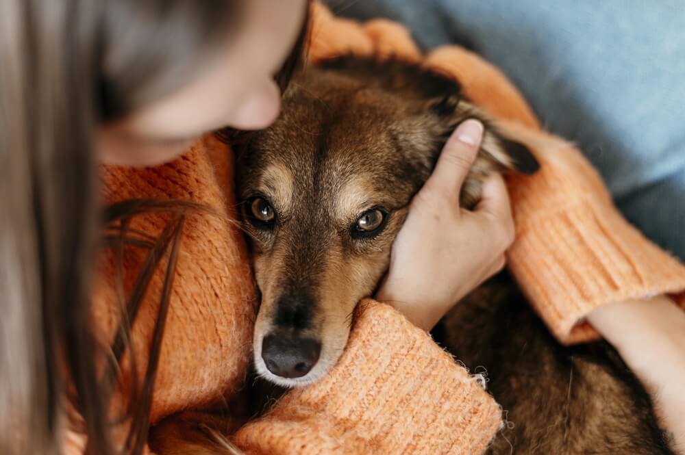 woman petting an adorable anxious dog