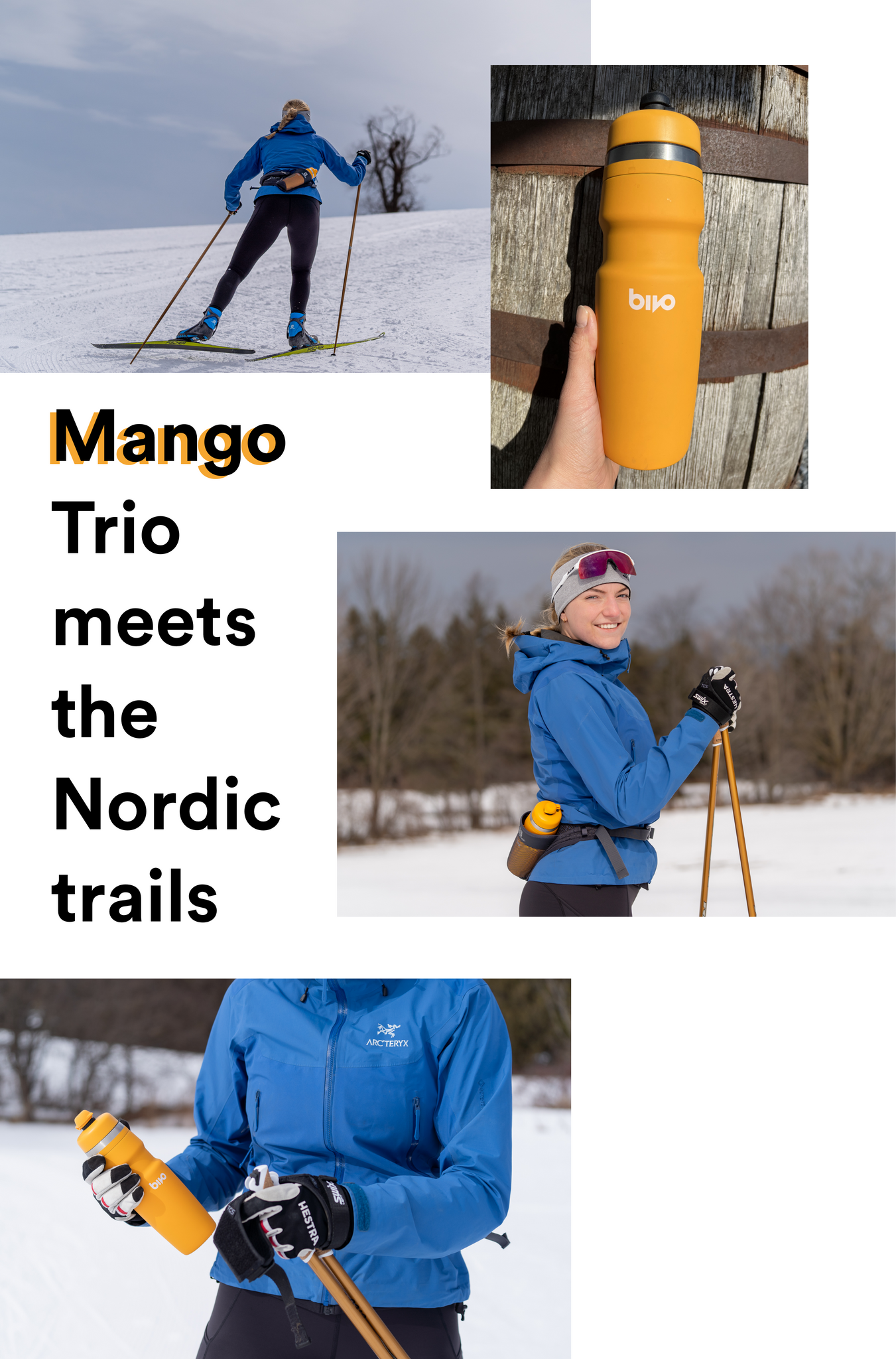 Mango Trio meets the Nordic trails