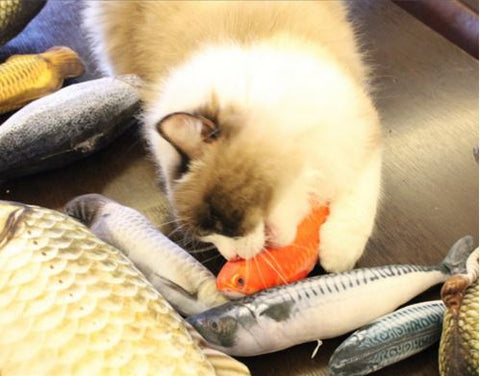 fish cat toy