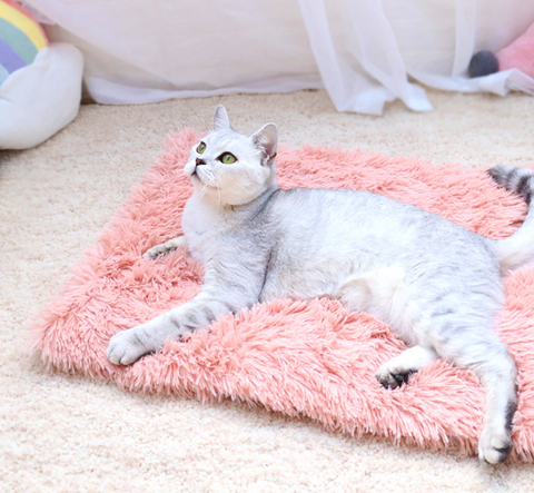 marshmallow cat mat