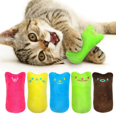 Jeux Pour Chiens Et Chats Zoonimaux