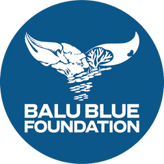 Balu Blue Foundation