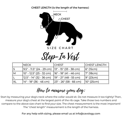 Step in vest harness Cavology