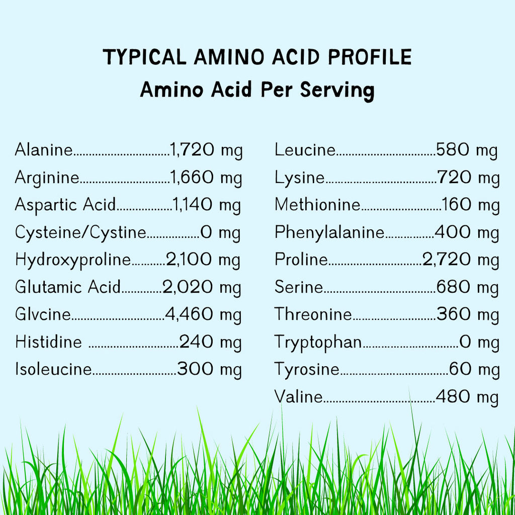 Amino Acid Profile of Yonder Collagen