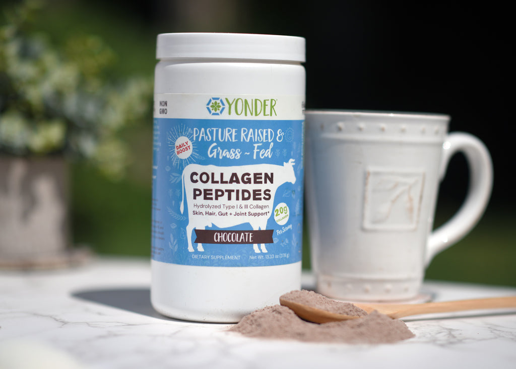 Collagen-hot-chocolate